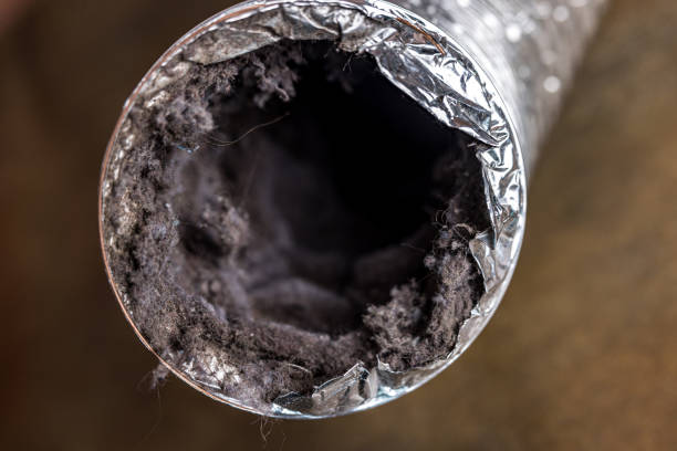 Best Ventilation Cleaning Services  in Windham, OH