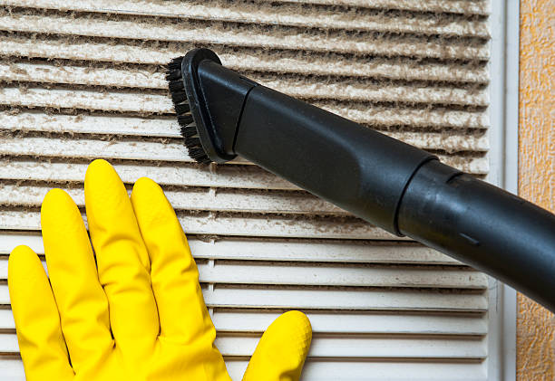 Best Ductwork Cleaning Services  in Windham, OH